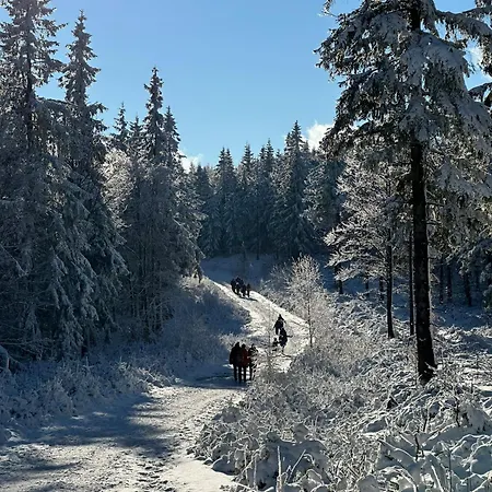 Dağ evi Pod Jagodna 824 M N.p.m. 6 Be *