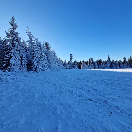 Pod Jagodna 824 M N.p.m. 6 Be * Spalona