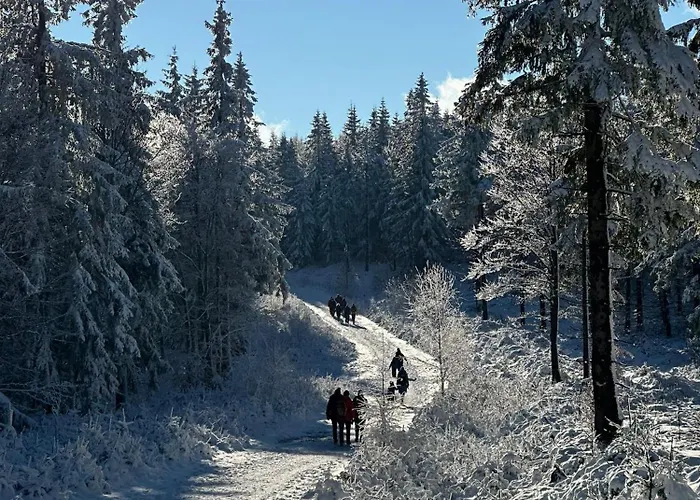 Domek alpejski Pod Jagodną 824 M N.p.m. 6 Be *
