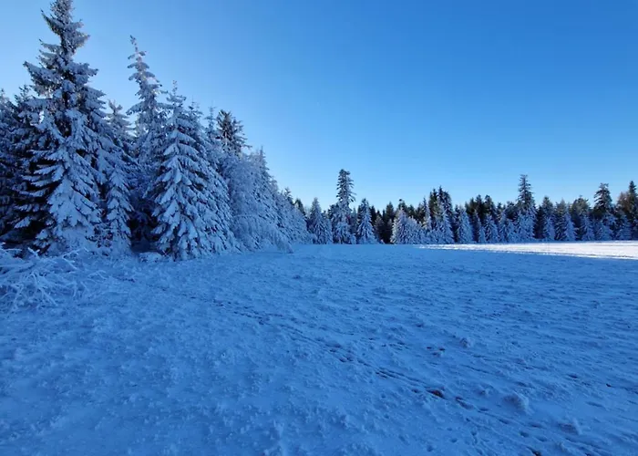 Pod Jagodna 824 M N.p.m. 6 Be * Spalona