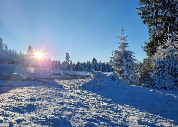Pod Jagodną 824 M N.p.m. 6 Be Domek alpejski Spalona