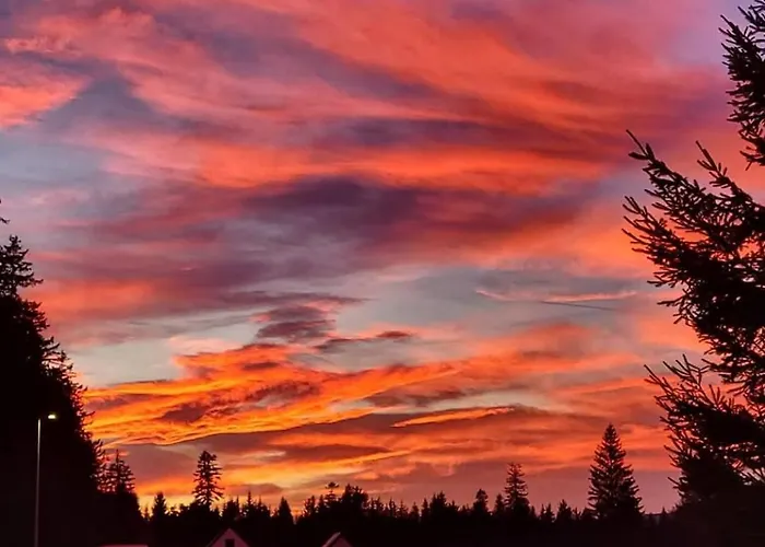 Pod Jagodna 824 M N.p.m. 6 Be Spalona